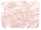 Pink Tumbled & Matte Glass Beads