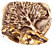 Bronze Earring Findings